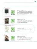 Miniatura página 270 de Colección Ximhai. Nuestro libro de Proyectos.  Tomo III.  Libro de Educación Telesecundaria Grado 1°  Ciclo Escolar 2025 - 2026
