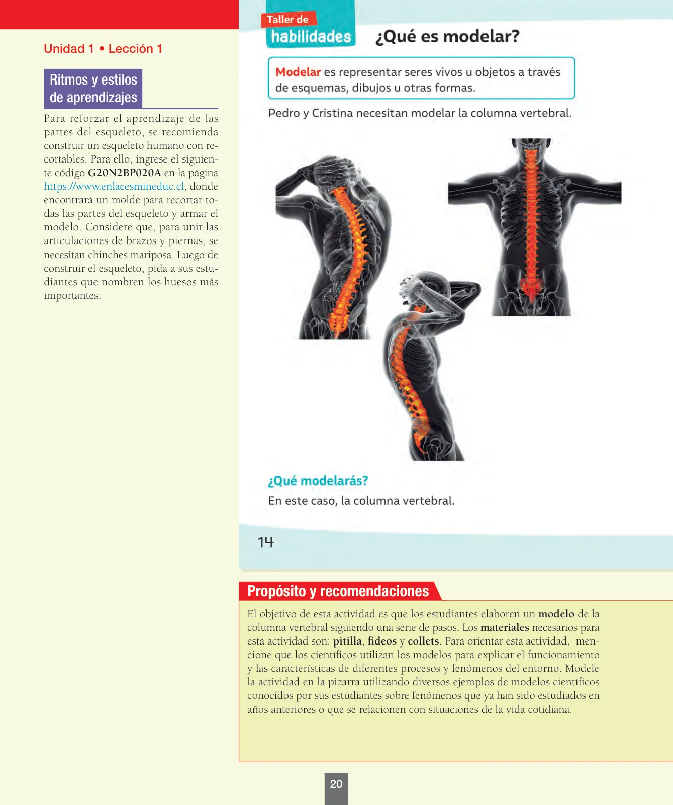 Página 21 de Ciencias Naturales – Segundo Básico | Texto del Estudiante MINEDUC – Descargar PDF · 2024