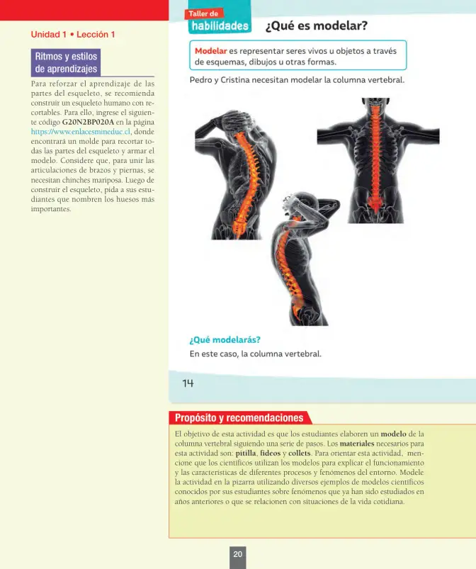 Página 21 de Ciencias Naturales – Segundo Básico | Texto del Estudiante MINEDUC – Descargar PDF · 2024