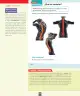 Miniatura página 21 de Ciencias Naturales – Segundo Básico | Texto del Estudiante MINEDUC – Descargar PDF · 2024