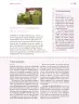 Miniatura página 128 de Nuestros saberes: Libro para alumnos, maestros y familia.   Libro de Educación Primaria Grado 3°  Ciclo Escolar 2025 - 2026