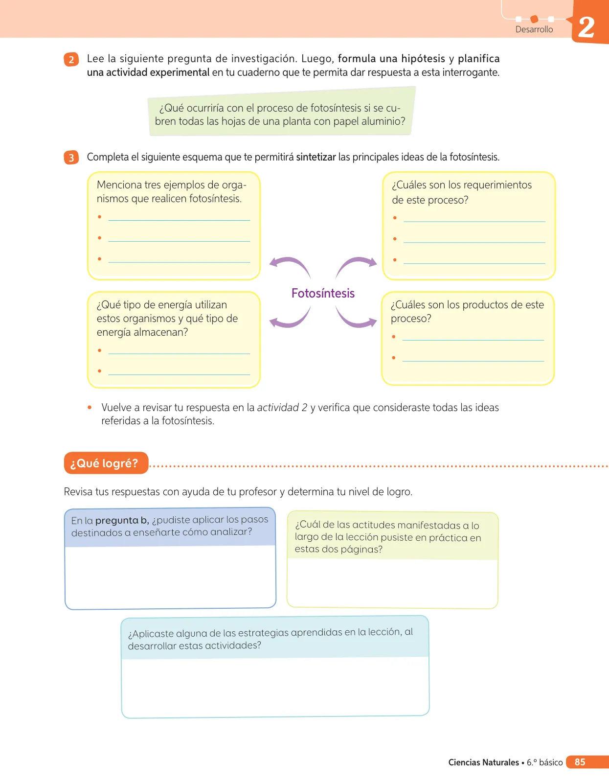 Miniatura página 204 de Libro de Ciencias Naturales – Quinto Básico | Texto del Estudiante MINEDUC – Descargar PDF · 2024