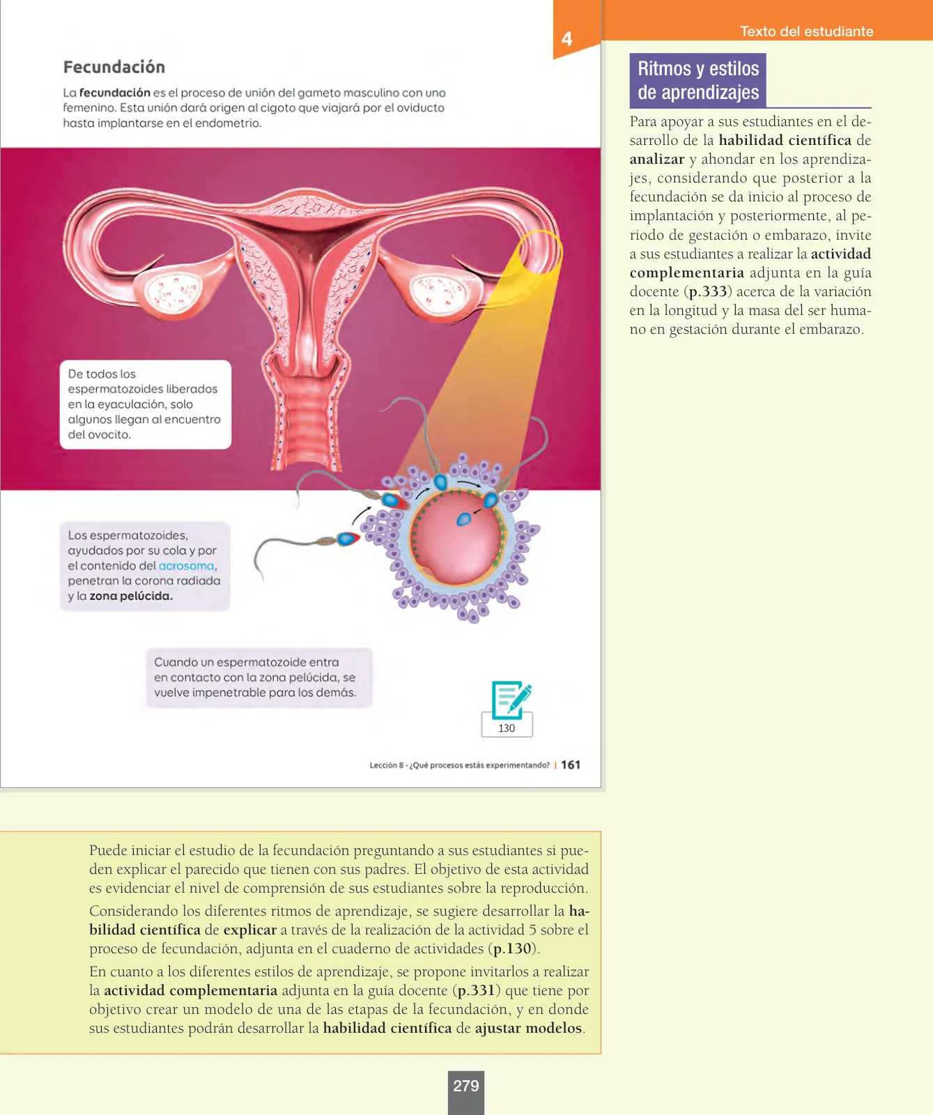 Página 104 de Ciencias Naturales – Séptimo Básico | Texto del Estudiante MINEDUC – Descargar PDF · 2024