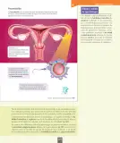 Miniatura página 104 de Ciencias Naturales – Séptimo Básico | Texto del Estudiante MINEDUC – Descargar PDF · 2024