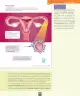 Miniatura página 104 de Ciencias Naturales – Séptimo Básico | Texto del Estudiante MINEDUC – Descargar PDF · 2024