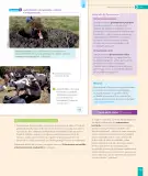Miniatura página 135 de Historia, Geografía y Ciencias Sociales – Segundo Básico – Texto del Estudiante MINEDUC – Descargar PDF · 2024