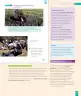 Miniatura página 135 de Historia, Geografía y Ciencias Sociales – Segundo Básico – Texto del Estudiante MINEDUC – Descargar PDF · 2024