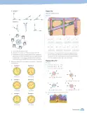 Miniatura página 229 de Matemática – Sexto Básico | Texto del Estudiante MINEDUC – Descargar PDF · 2024