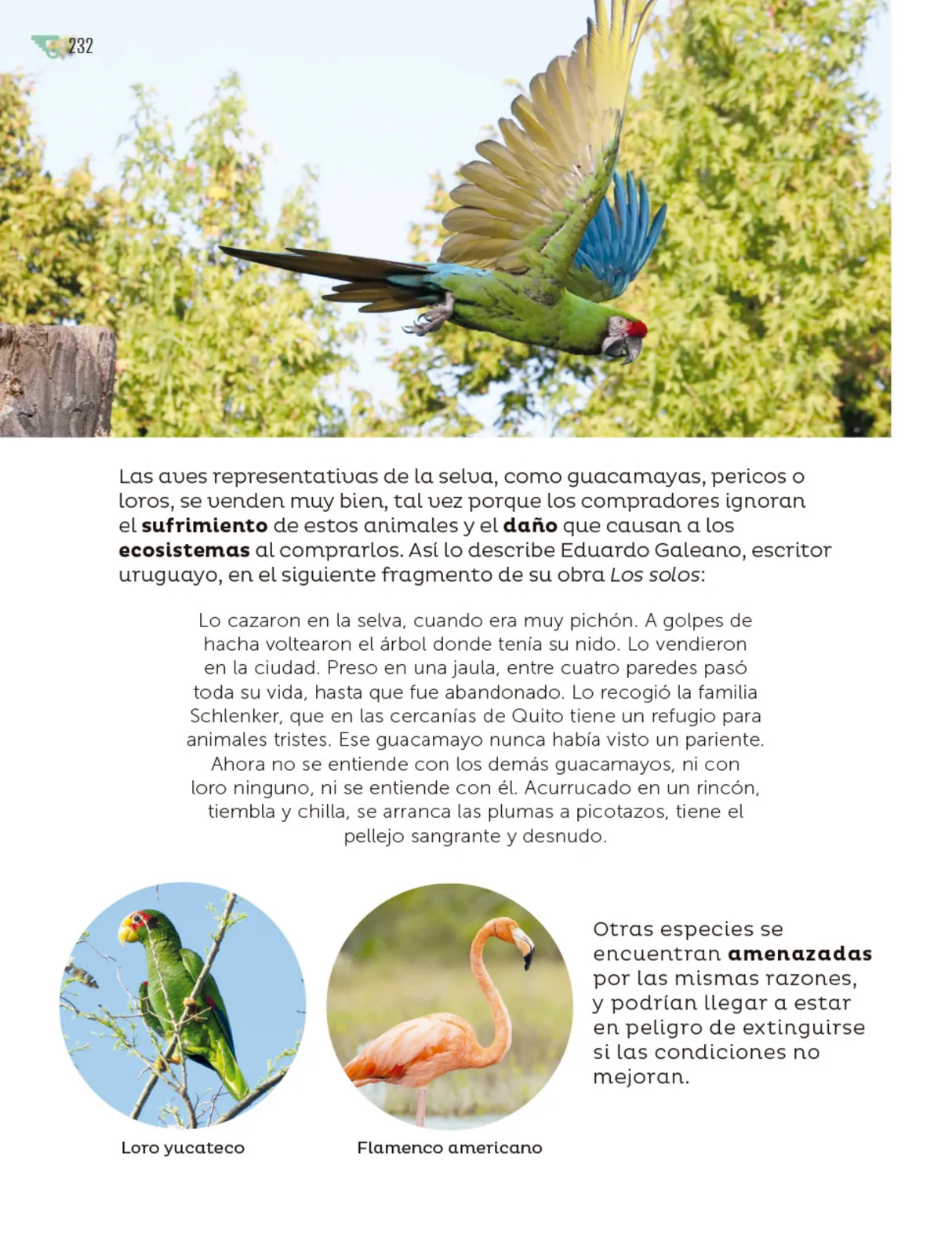 Página 233 de Múltiples lenguajes. Libro de Educación Primaria Grado 6° Ciclo Escolar 2025 - 2026