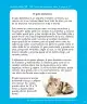 Miniatura página 316 de Lenguaje y Comunicación – Segundo Básico – Texto del Estudiante MINEDUC – Descargar PDF · 2024