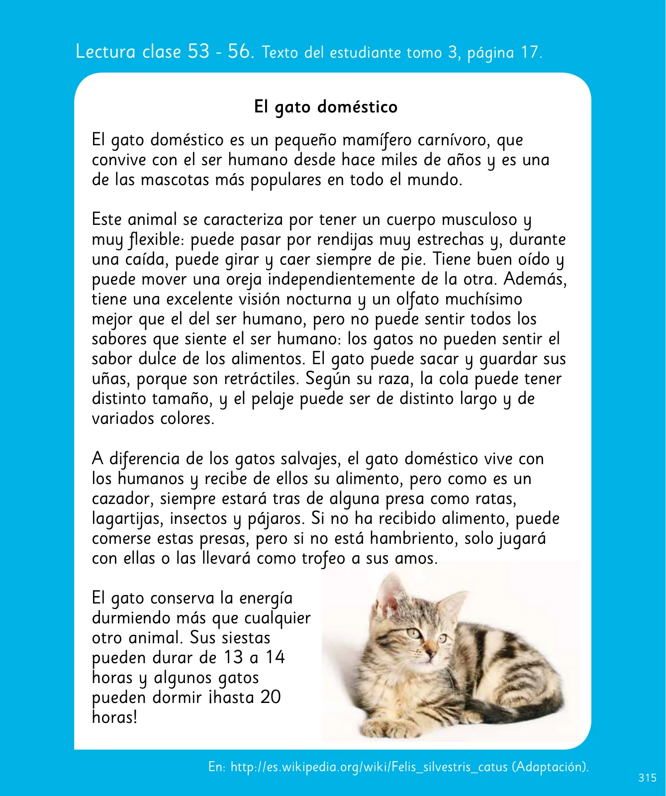 Miniatura página 316 de Lenguaje y Comunicación – Segundo Básico – Texto del Estudiante MINEDUC – Descargar PDF · 2024