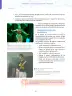 Miniatura página 55 de Aprendemos a través del lenguaje del teatro Fascículo 4 para estudiantes de Educación Secundaria · 2024