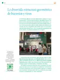 Miniatura página 135 de Colección Ximhai. Nuestro libro de Proyectos.  Tomo II.   Libro de Educación Telesecundaria Grado 1°  Ciclo Escolar 2025 - 2026