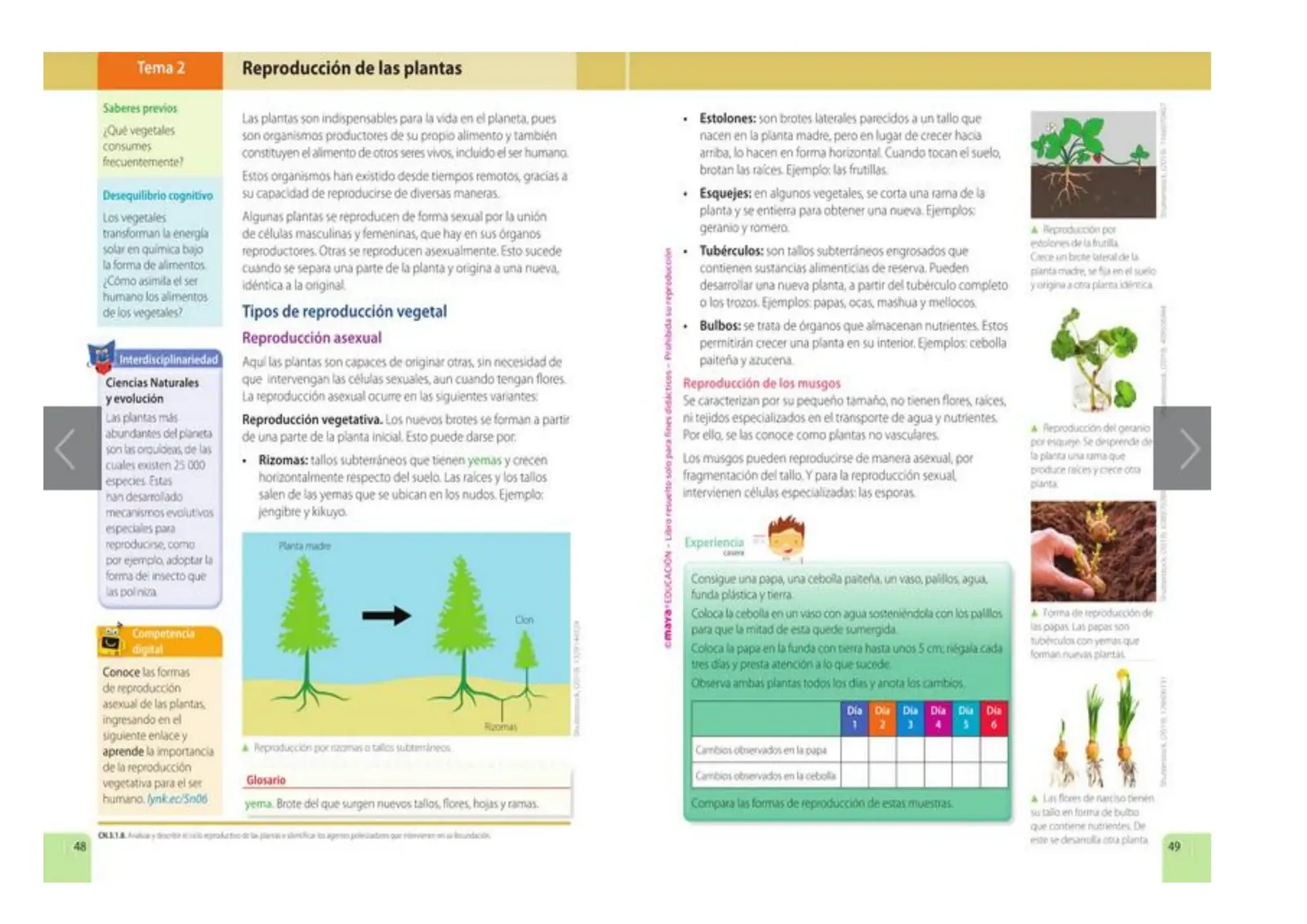 Miniatura página 24 de Ciencias Naturales 5° · Egb 5 Ciencias Naturales 2024 · 2024