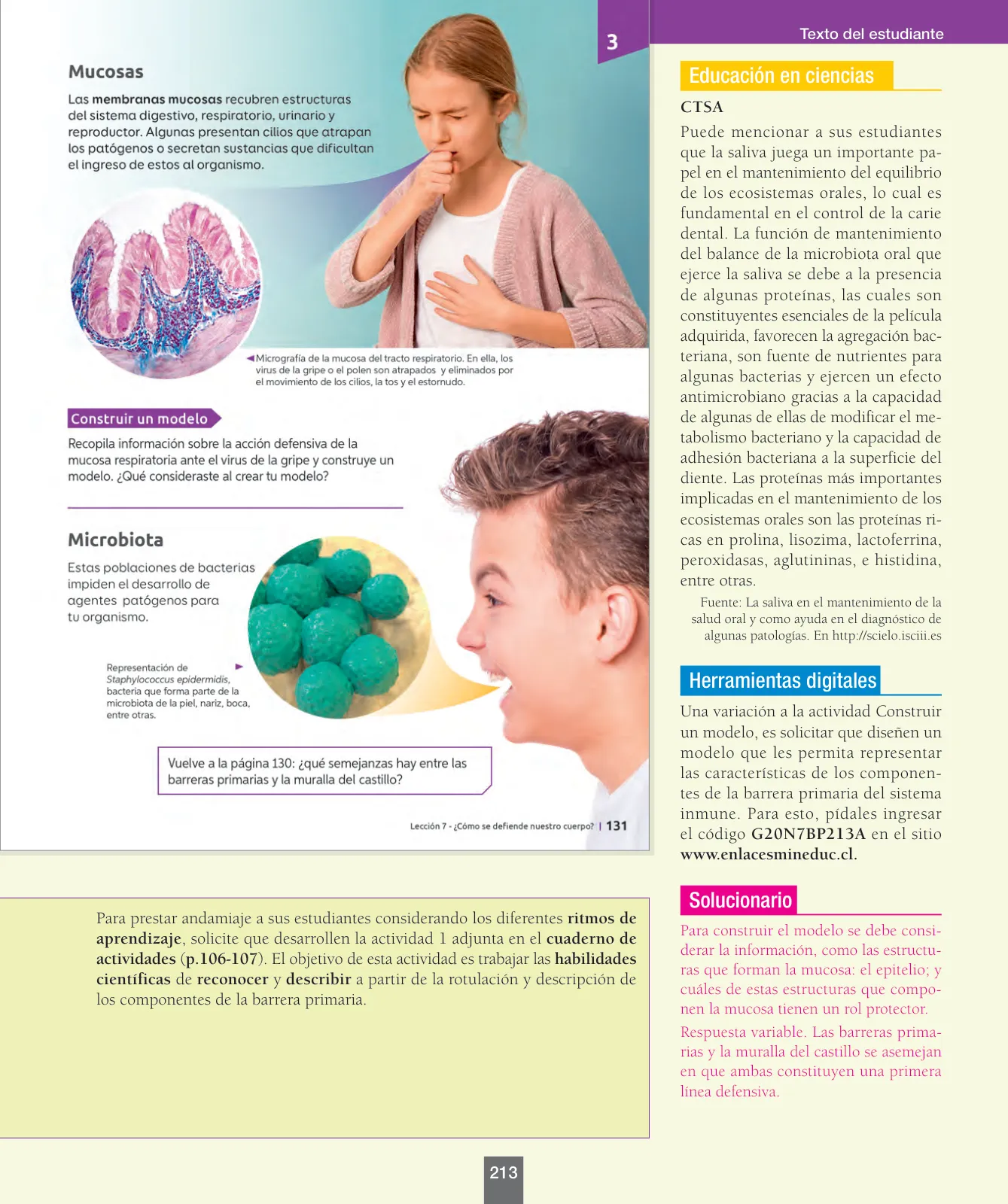 Miniatura página 38 de Ciencias Naturales – Séptimo Básico | Texto del Estudiante MINEDUC – Descargar PDF · 2024