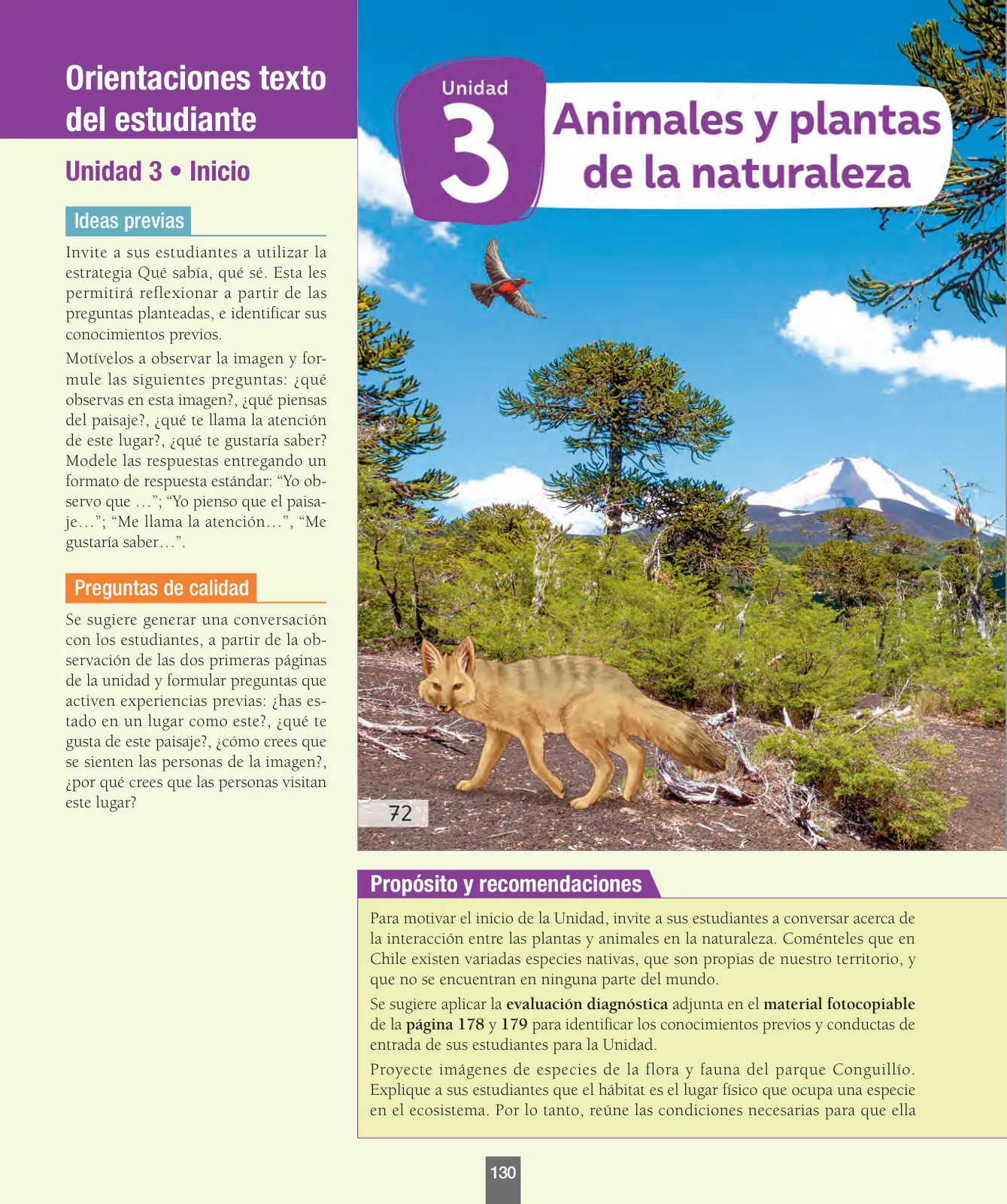 Miniatura página 131 de Ciencias Naturales – Primero Básico | Texto del Estudiante (MINEDUC) – Descargar PDF · 2024