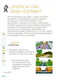 Miniatura página 71 de Proyectos Comunitarios.   Libro de Educación Primaria Grado 1°  Ciclo Escolar 2025 - 2026
