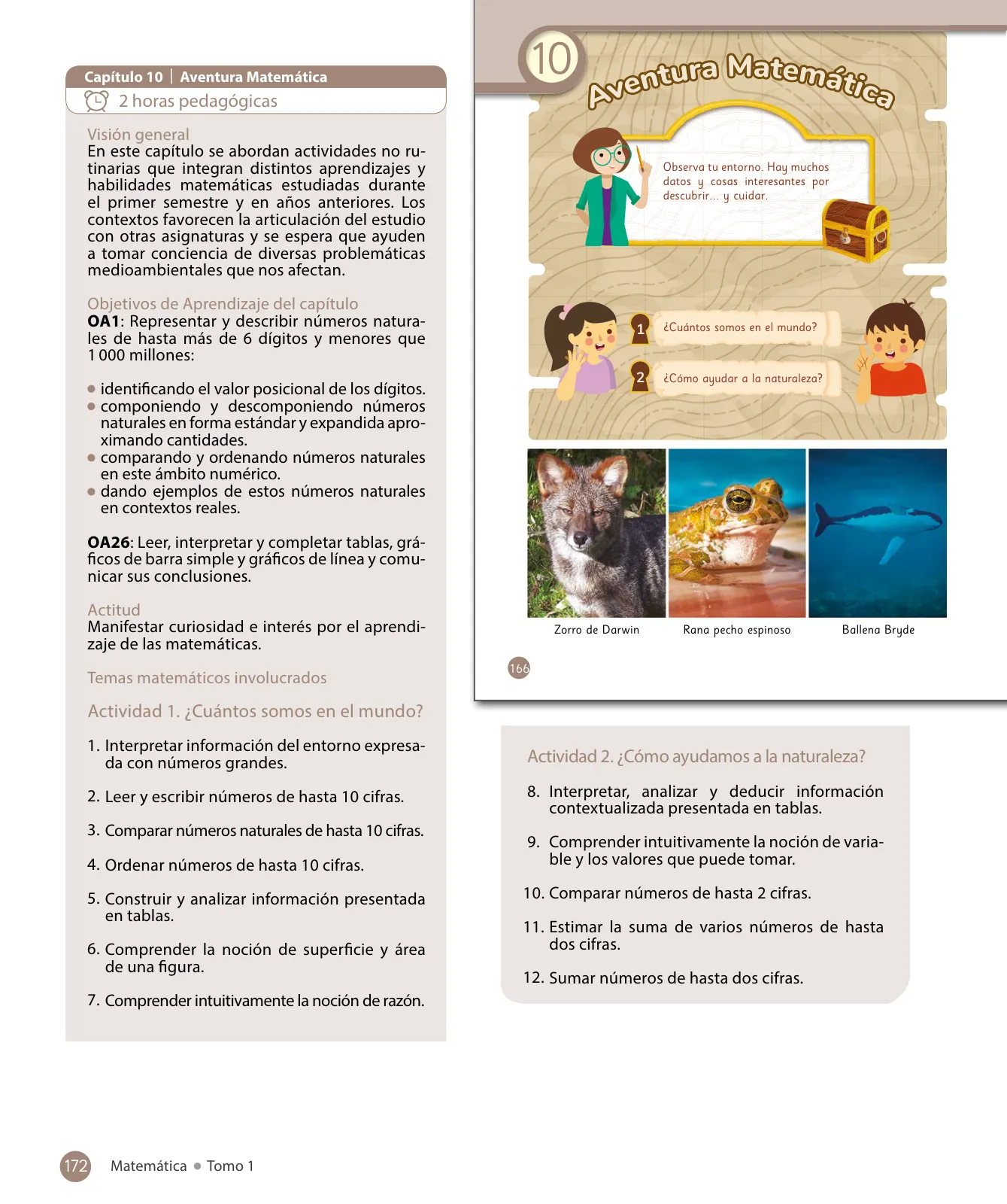 Miniatura página 174 de Sumo Primero – Quinto Básico | Texto del Estudiante MINEDUC – Descargar PDF · 2024
