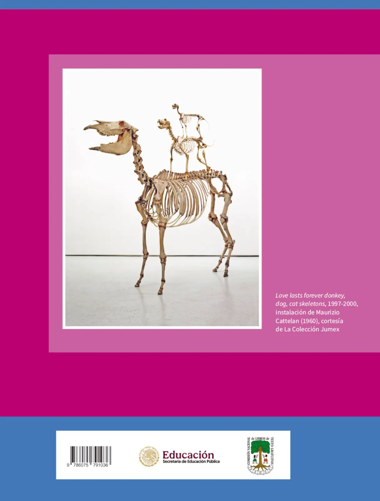Página 163 de Colección Ximhai. Múltiples lenguajes. Libro de Educación Secundaria Grado 1° Ciclo Escolar 2025 - 2026