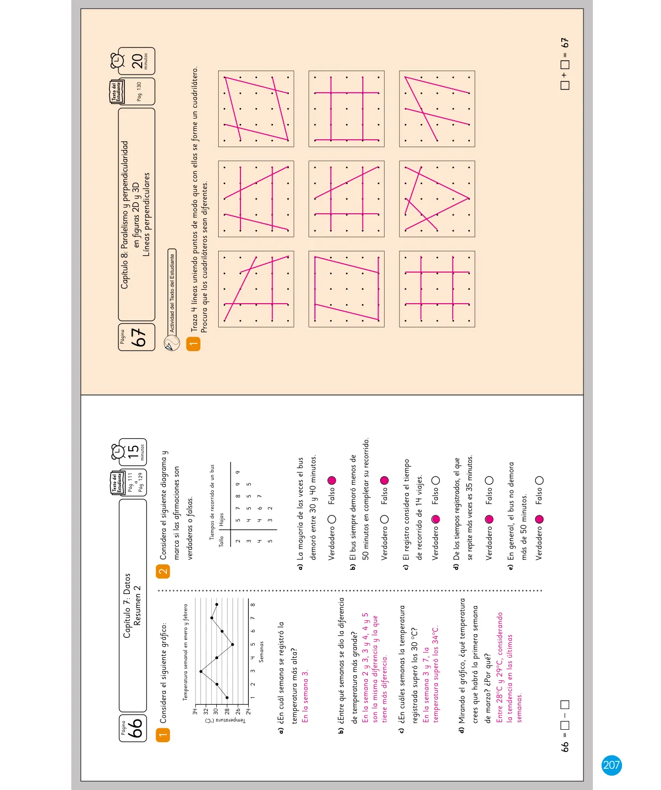Miniatura página 209 de Sumo Primero – Quinto Básico | Texto del Estudiante MINEDUC – Descargar PDF · 2024