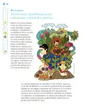 Miniatura página 143 de Nuestros saberes: Libro para alumnos, maestros y familia.   Libro de Educación Primaria Grado 1°  Ciclo Escolar 2025 - 2026