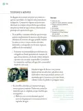 Miniatura página 173 de Proyectos Comunitarios.   Libro de Educación Primaria Grado 5°  Ciclo Escolar 2025 - 2026