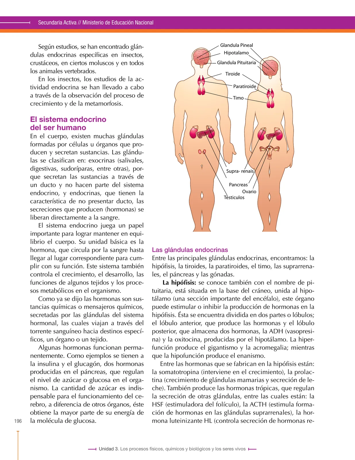 Página 196 de Ciencias Naturales 8° · Secundaria Activa