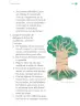 Miniatura página 192 de Proyectos de Aula.   Libro de Educación Primaria Grado 1°  Ciclo Escolar 2025 - 2026