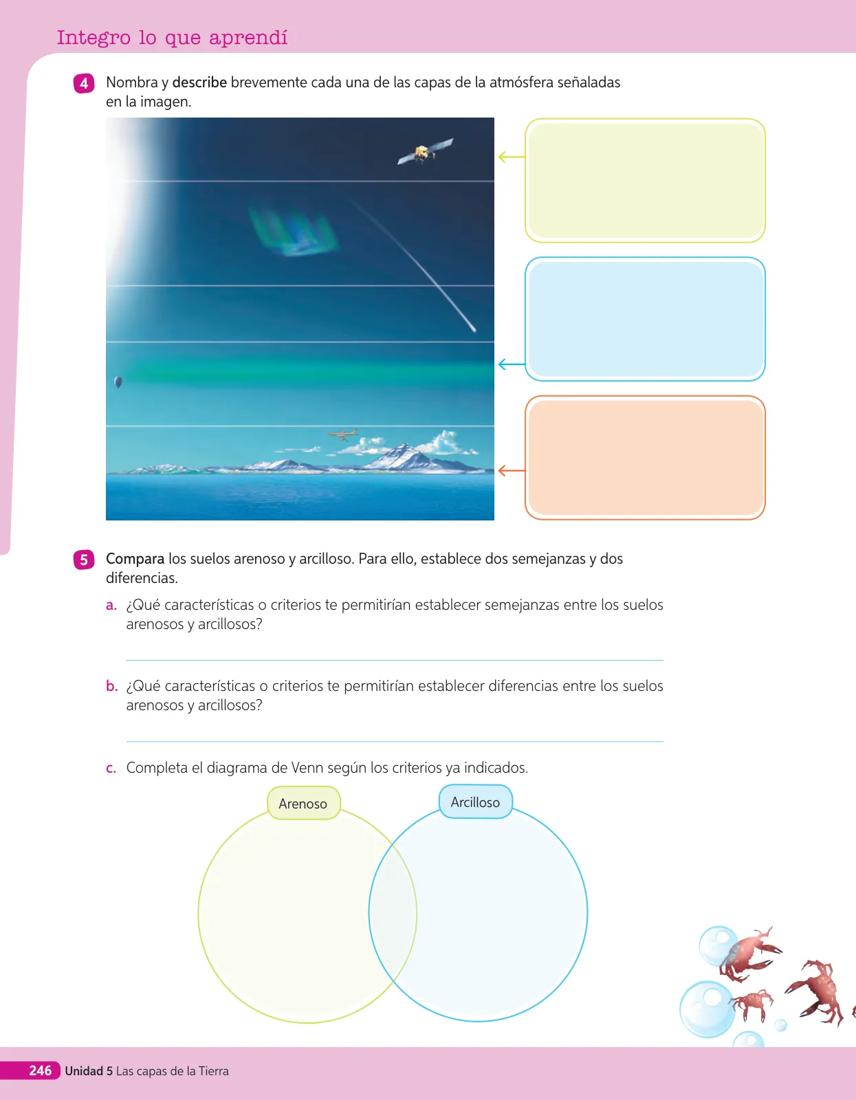 Página 197 de Libro de Ciencias Naturales – Quinto Básico | Texto del Estudiante MINEDUC – Descargar PDF · 2024