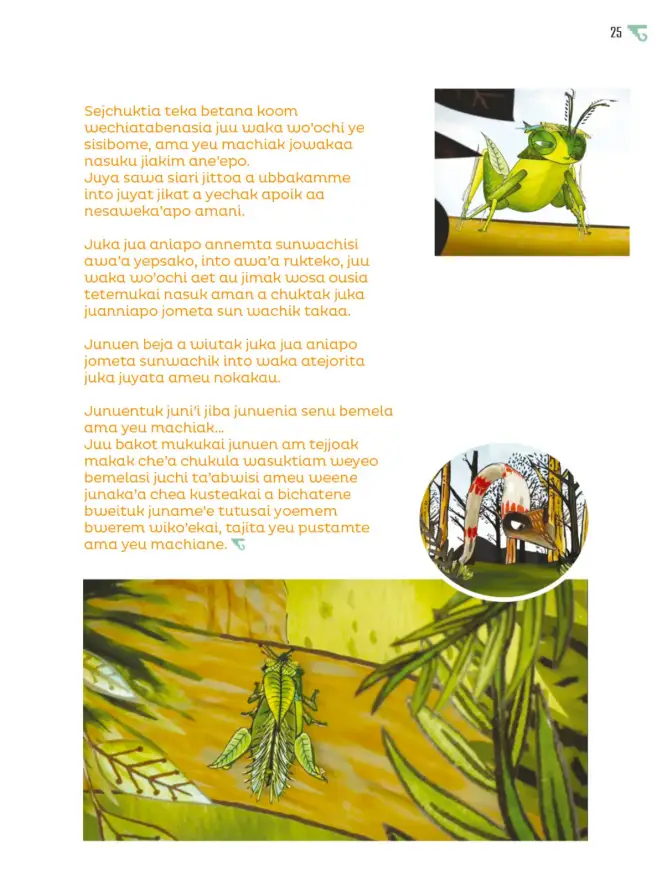 Página 26 de Múltiples lenguajes. Libro de Educación Primaria Grado 6° Ciclo Escolar 2025 - 2026
