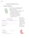 Miniatura página 193 de Proyectos Escolares.   Libro de Educación Primaria Grado 1°  Ciclo Escolar 2025 - 2026