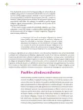 Miniatura página 148 de Colección Sk´asolil. Lenguajes.   Libro de Educación Secundaria Grado 2°  Ciclo Escolar 2025 - 2026