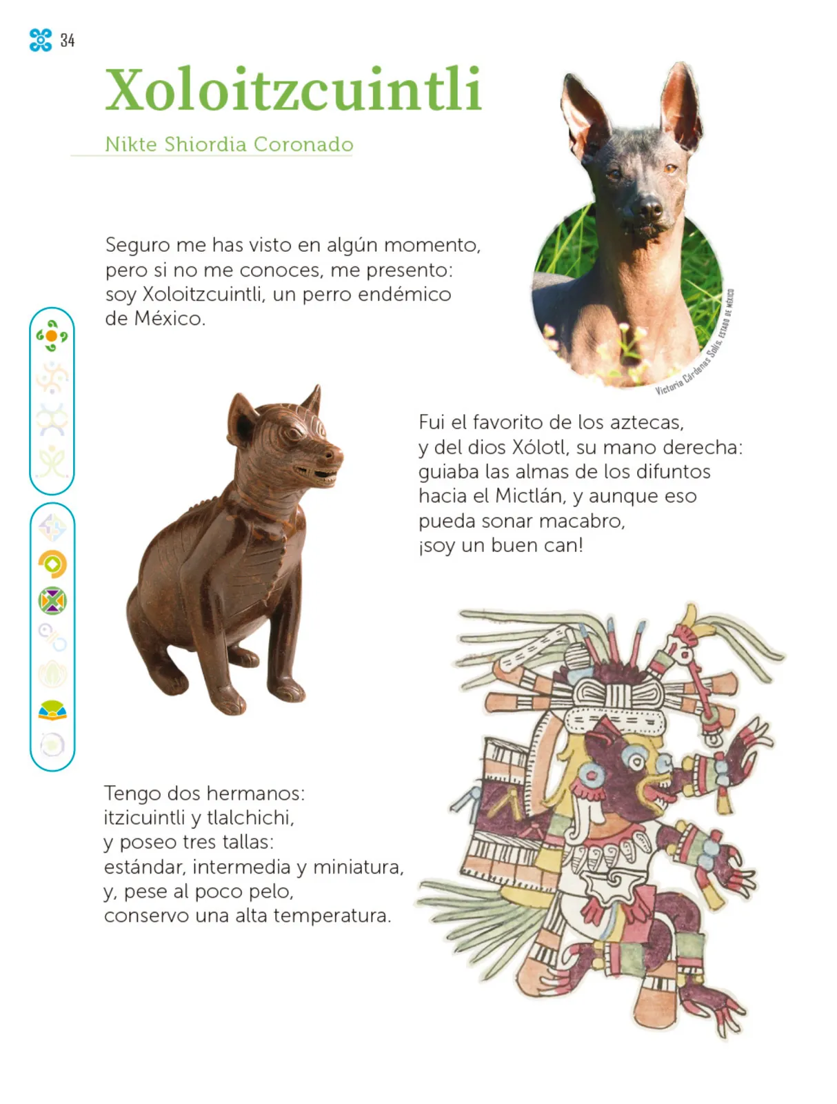 Miniatura página 35 de Múltiples lenguajes.   Libro de Educación Primaria Grado 2°  Ciclo Escolar 2025 - 2026