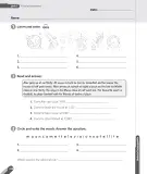 Miniatura página 102 de Inglés – Cuarto Básico | Texto del Estudiante MINEDUC – Descargar PDF · 2024