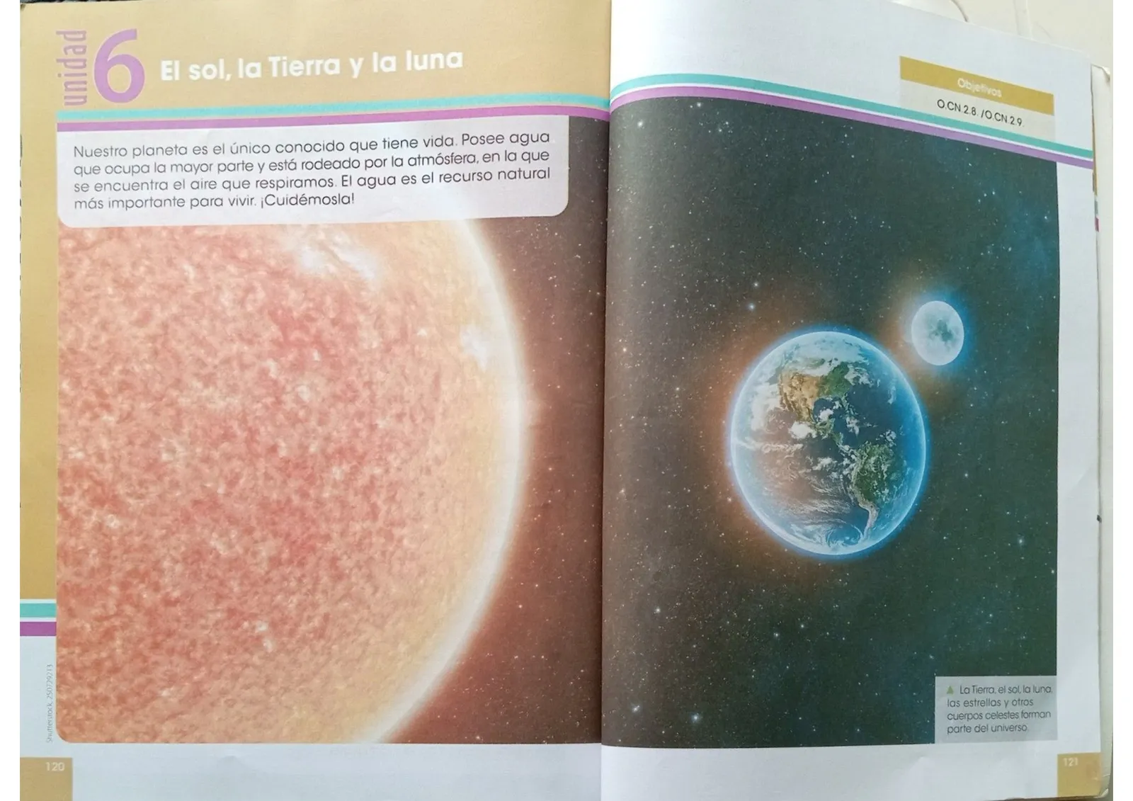 Miniatura página 59 de Ciencias Naturales · 3 EGB · 2024