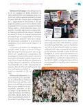 Miniatura página 332 de Nuestros saberes: México, grandeza y diversidad.   Libro de Educación Primaria Grado 4°  Ciclo Escolar 2025 - 2026