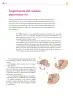 Miniatura página 255 de Colección Ximhai. Saberes y pensamiento científico.   Libro de Educación Secundaria Grado 1°  Ciclo Escolar 2025 - 2026