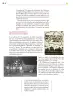Miniatura página 187 de Colección Sk´asolil. Ética, naturaleza y sociedades.   Libro de Educación Secundaria Grado 2°  Ciclo Escolar 2025 - 2026