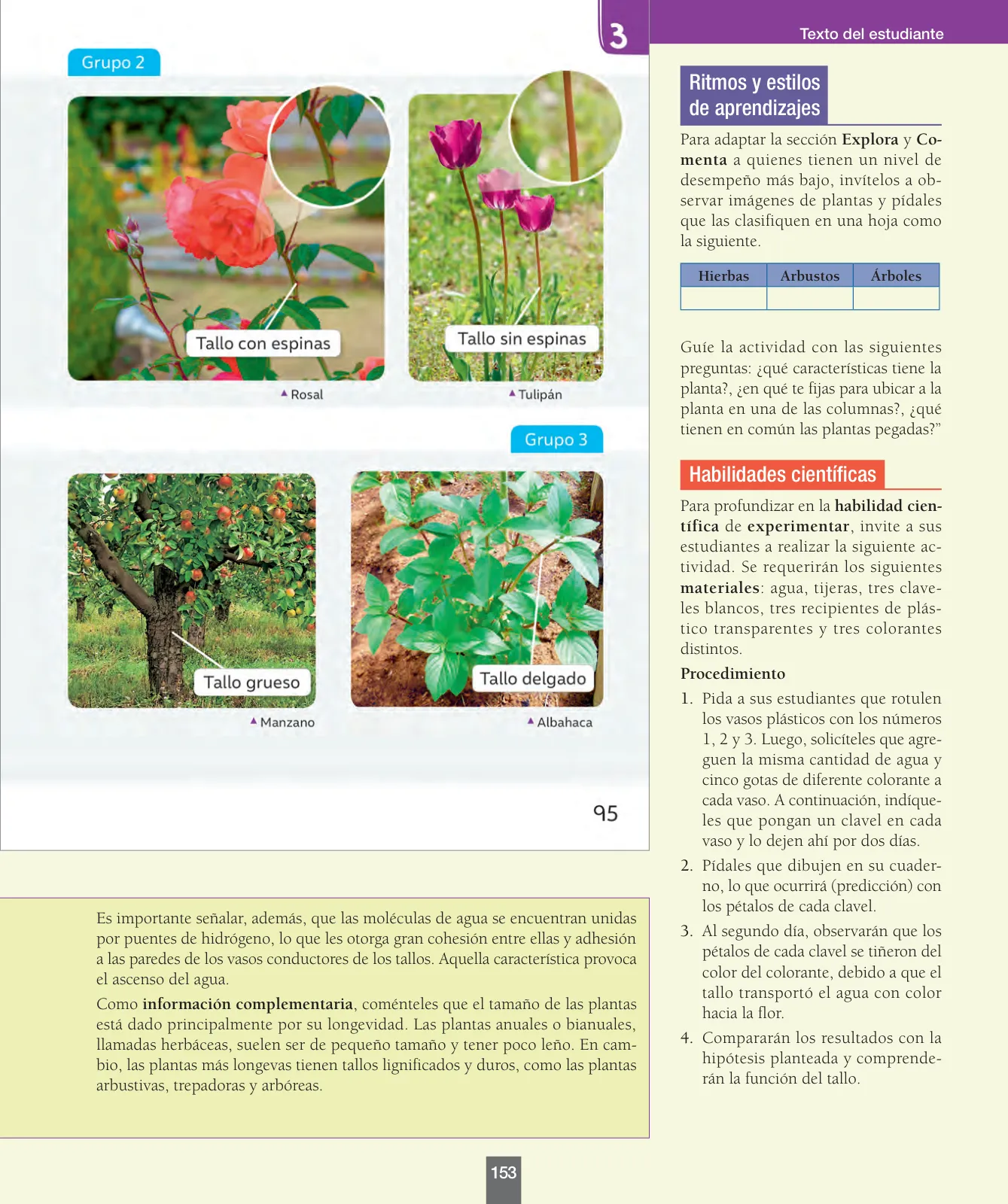 Miniatura página 154 de Ciencias Naturales – Primero Básico | Texto del Estudiante (MINEDUC) – Descargar PDF · 2024