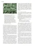 Miniatura página 133 de Modalidades de trabajo para la acción transformadora y el codiseño  Libro de Educación Preescolar Grado 1°, 2°, 3°  Ciclo Escolar 2025 - 2026