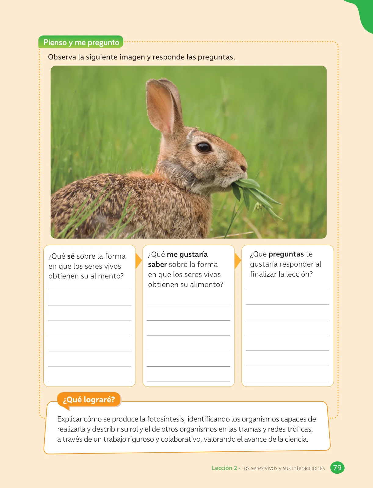 Página 81 de Libro de Ciencias Naturales – Quinto Básico | Texto del Estudiante MINEDUC – Descargar PDF · 2024