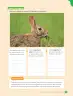 Miniatura página 81 de Libro de Ciencias Naturales – Quinto Básico | Texto del Estudiante MINEDUC – Descargar PDF · 2024