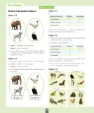 Miniatura página 125 de Ciencias Naturales – Segundo Básico | Texto del Estudiante MINEDUC – Descargar PDF · 2024