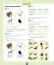 Miniatura página 125 de Ciencias Naturales – Segundo Básico | Texto del Estudiante MINEDUC – Descargar PDF · 2024
