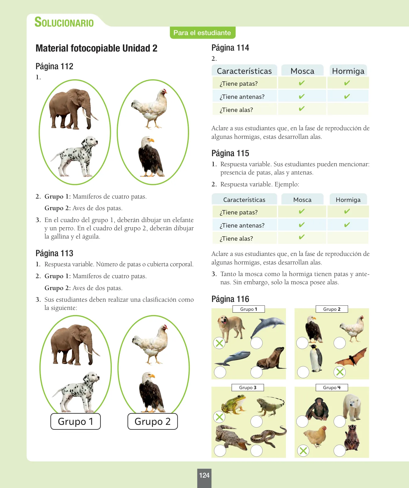 Miniatura página 125 de Ciencias Naturales – Segundo Básico | Texto del Estudiante MINEDUC – Descargar PDF · 2024