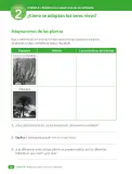 Miniatura página 68 de Ciencias Naturales – Cuarto Básico | Texto del Estudiante MINEDUC – Descargar PDF · 2024