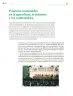 Miniatura página 305 de Colección Nanahuatzin. Saberes y pensamiento científico.   Libro de Educación Telesecundaria Grado 3°  Ciclo Escolar 2025 - 2026