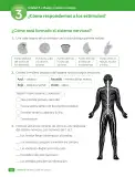 Miniatura página 54 de Ciencias Naturales – Cuarto Básico | Texto del Estudiante MINEDUC – Descargar PDF · 2024
