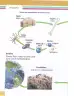 Miniatura página 39 de Ciencias Naturales 8° · Egb 8 Ciencias Naturales 2025 · 2025