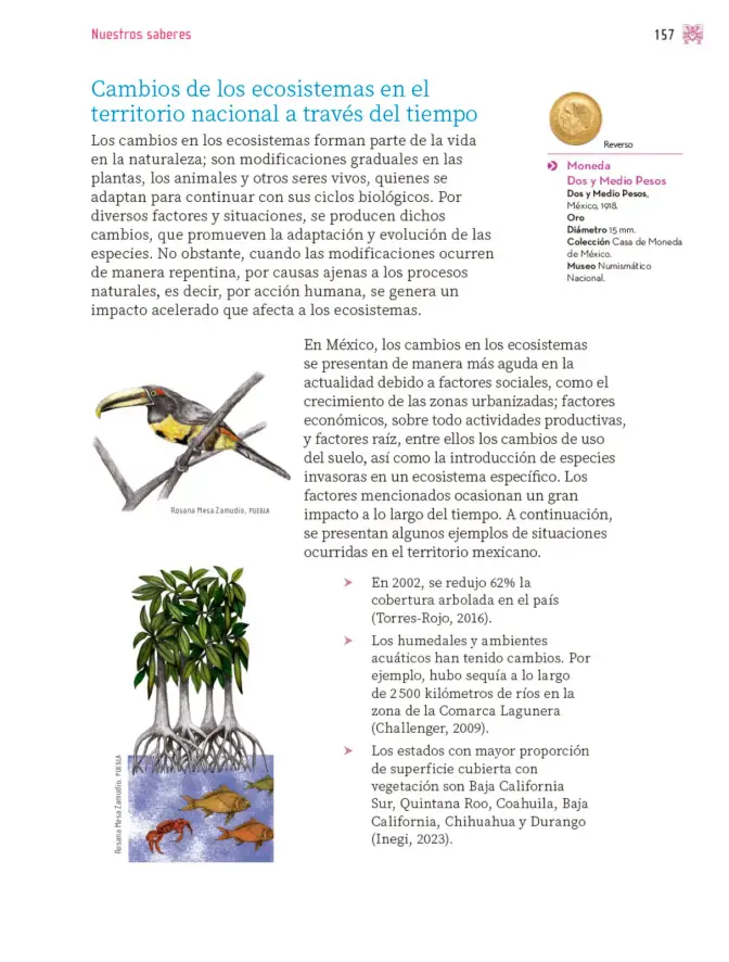 Página 158 de Nuestros saberes: Libro para alumnos, maestros y familia. Libro de Educación Primaria Grado 4° Ciclo Escolar 2025 - 2026